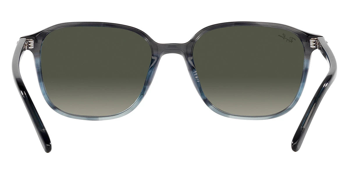 Ray-Ban - Leonard RB2193F