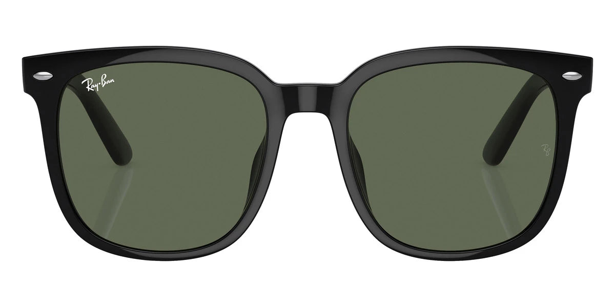Ray-Ban - RB4401D