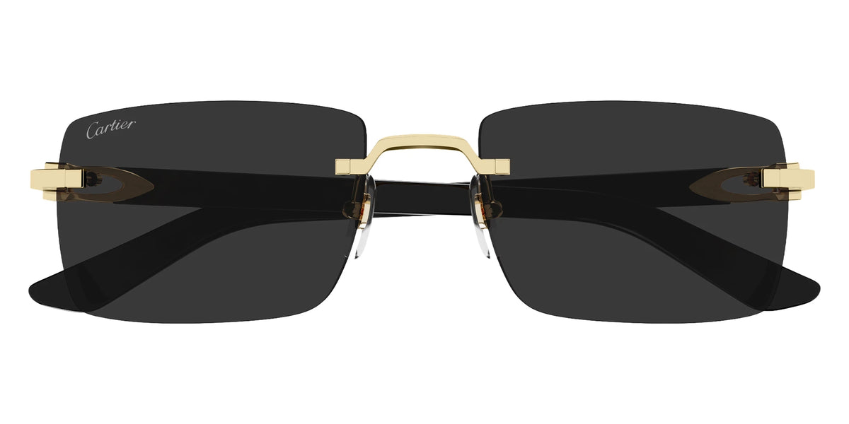 Cartier CT0579S Rectangle Sunglasses | EyeOns.com