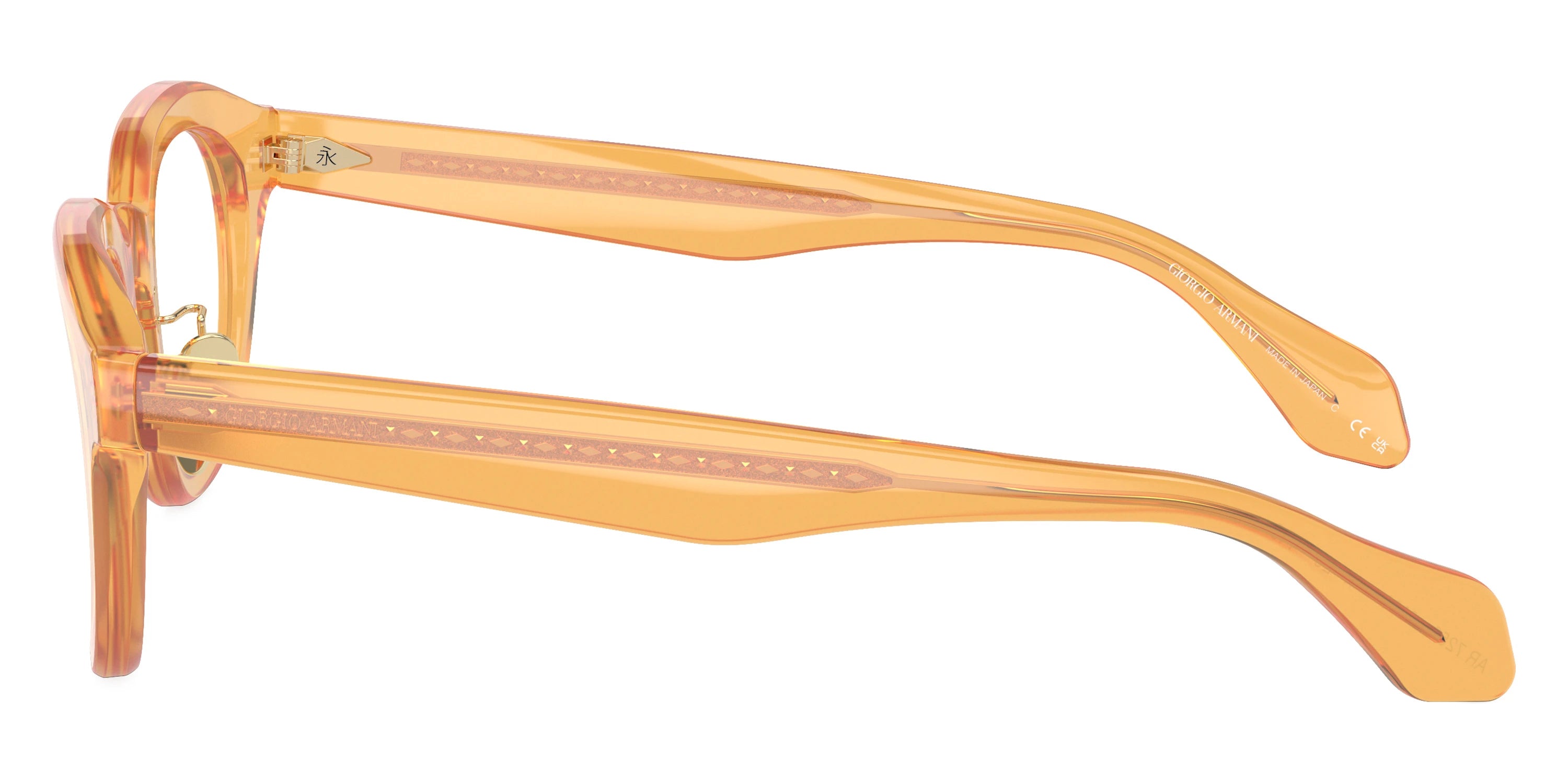 GIORGIO ARMANI - AR7253