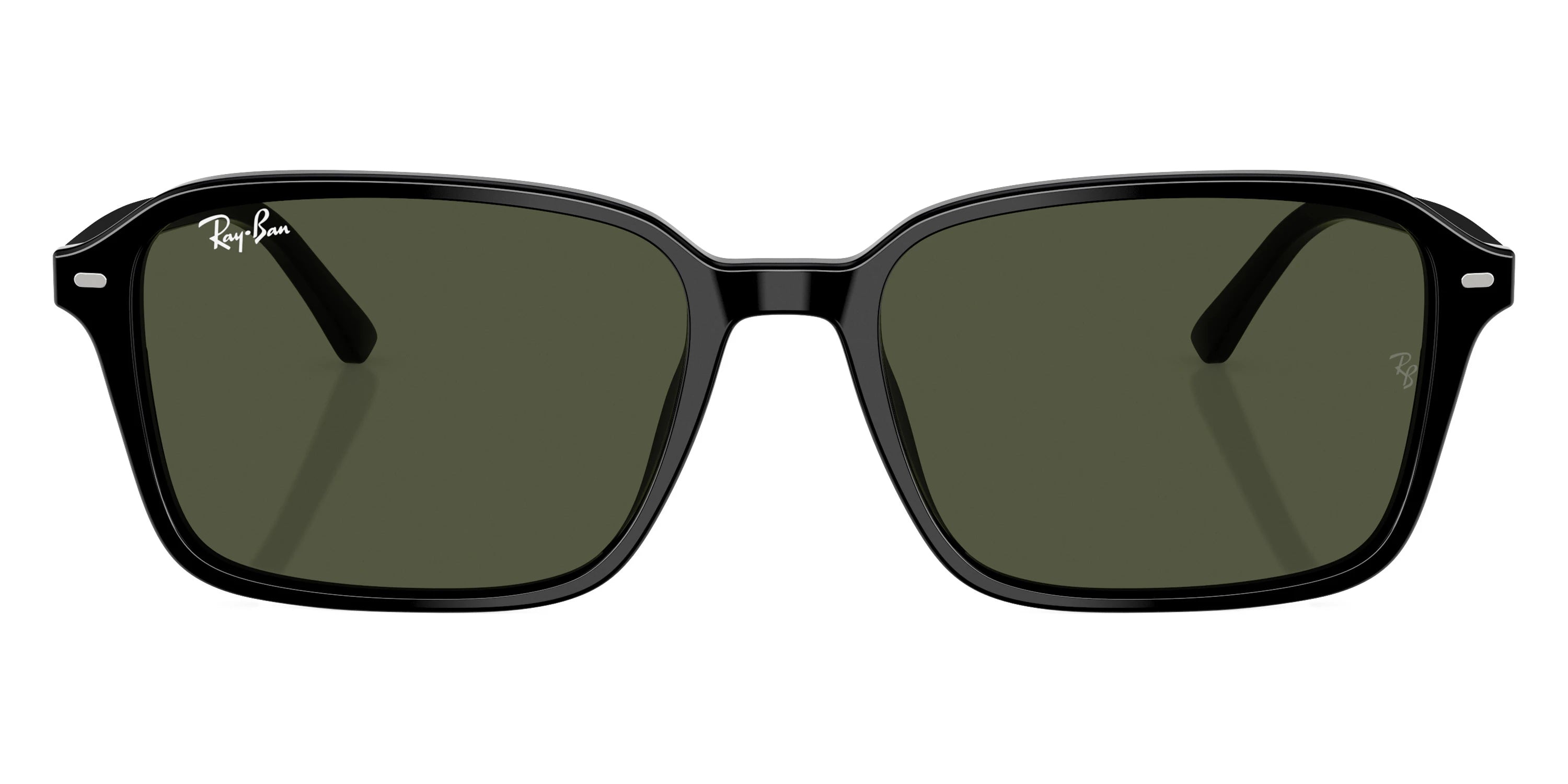 Ray-Ban - Raimond RB2231