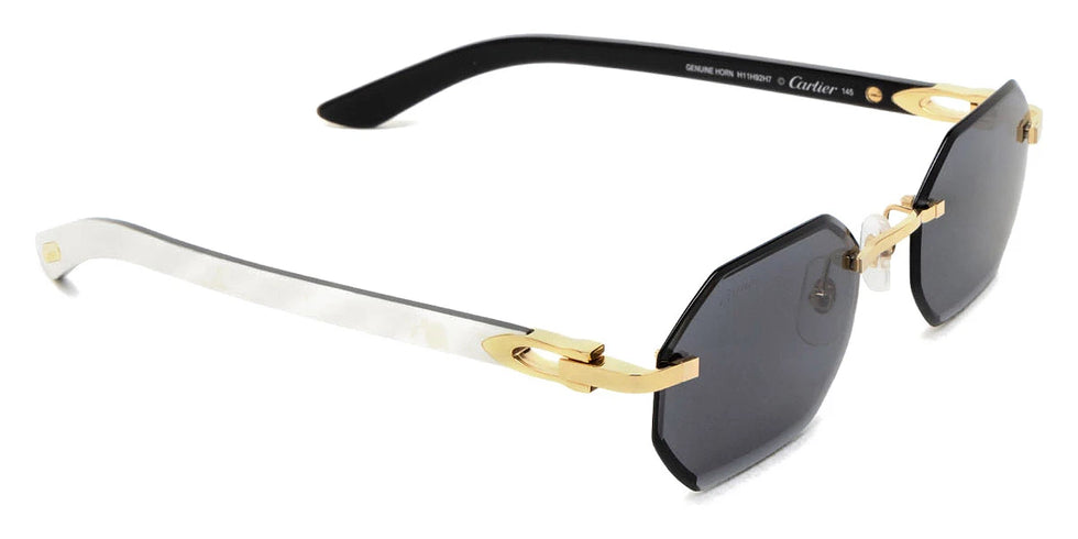 Cartier - CT0439S C Décor