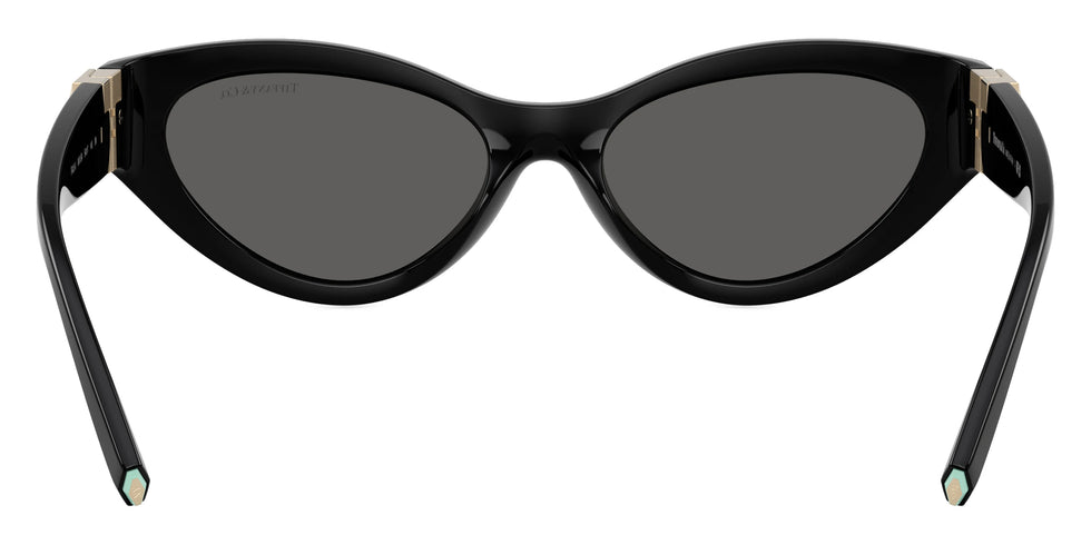 TIFFANY TF4225U 8001S4 54 - Black / Dark Gray