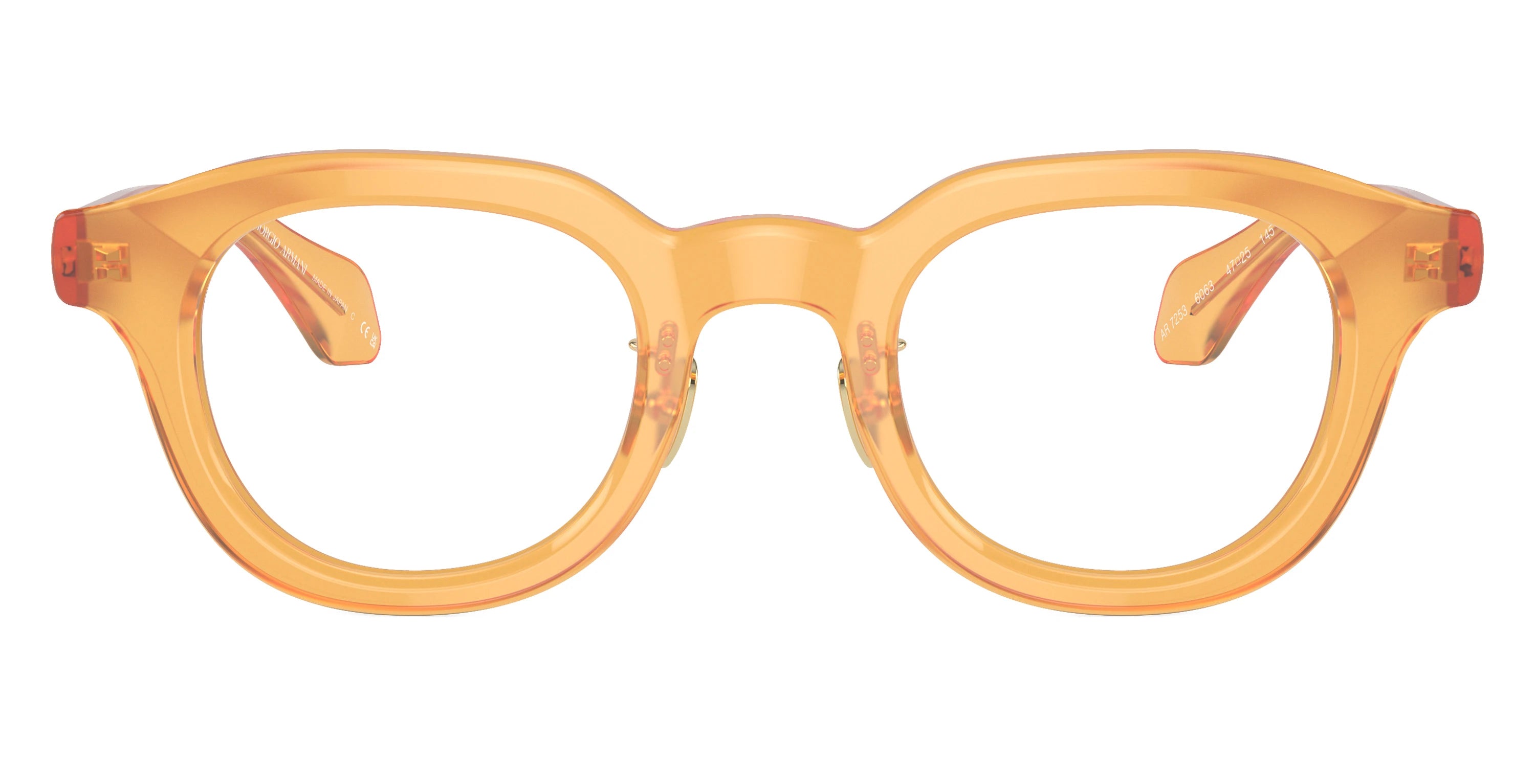 GIORGIO ARMANI - AR7253