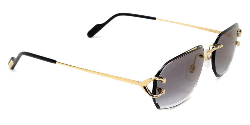 Cartier - CT0468S Signature C de Cartier