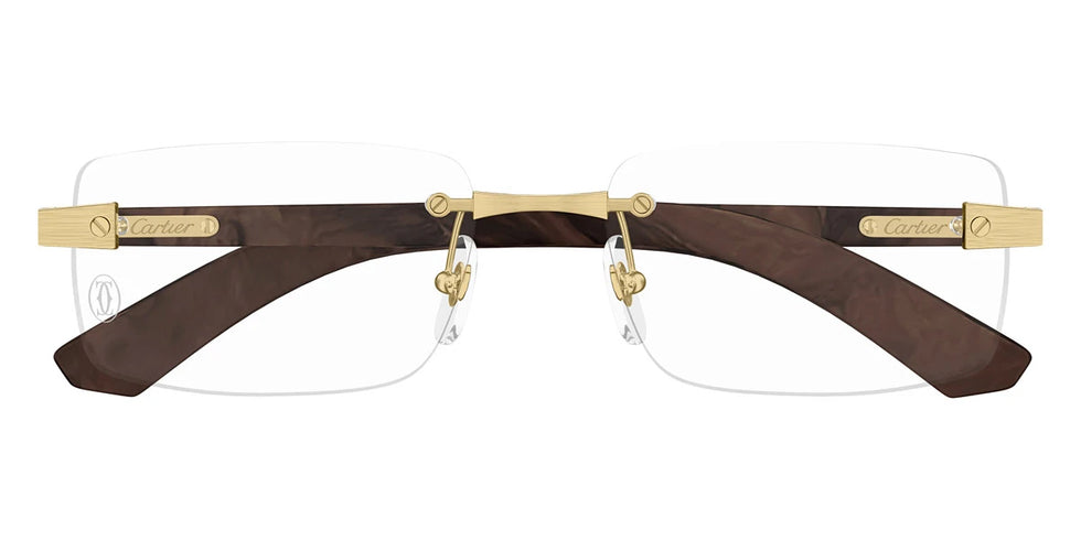 Cartier - CT0513O Santos de Cartier