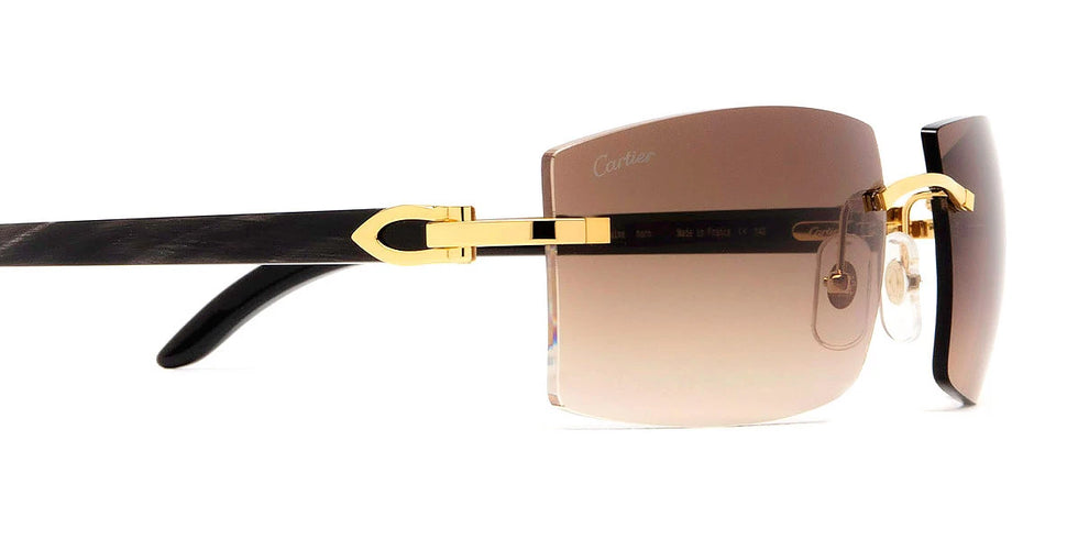 Cartier - CT0021RS C Décor