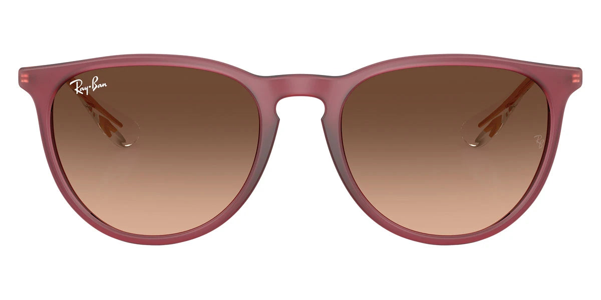 Ray-Ban - Erika RB4171F