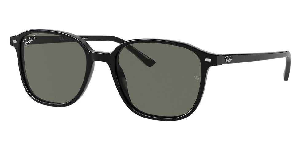 Ray-Ban - Leonard RB2193