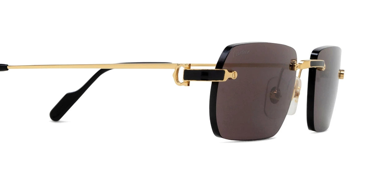 Cartier - CT0498S Santos de Cartier