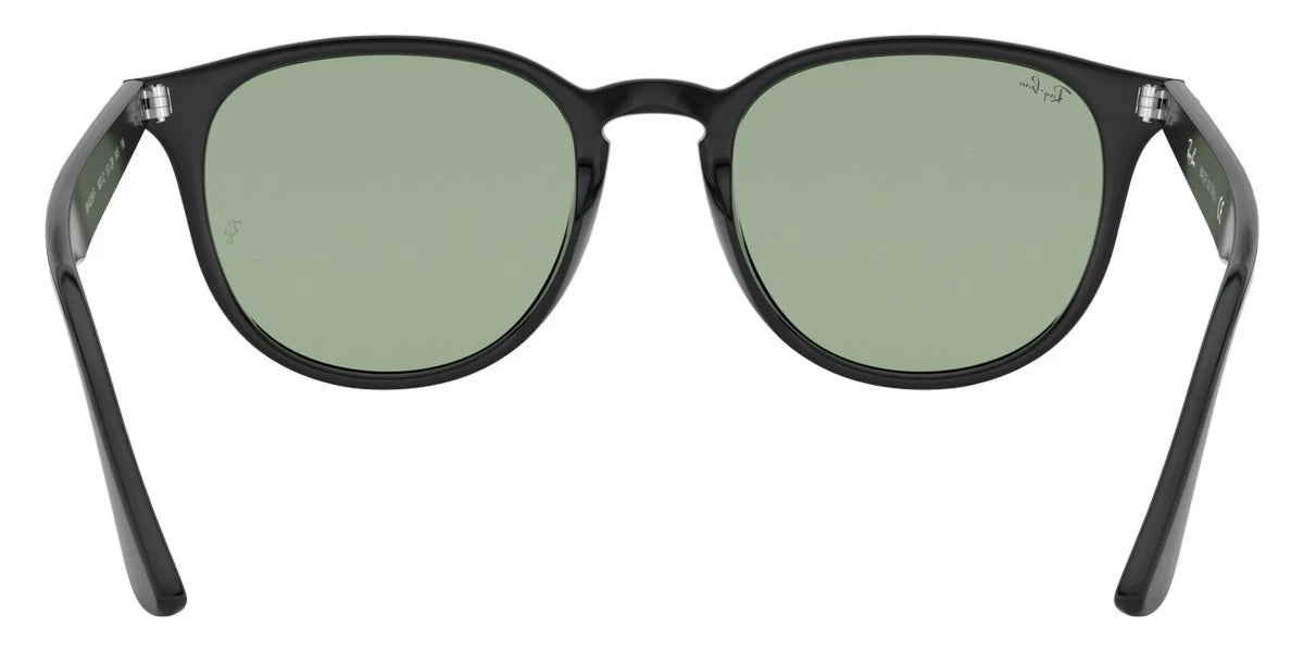 Ray-Ban - RB4259F