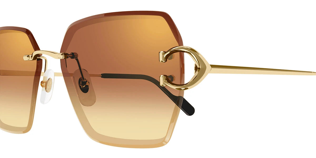 Cartier - CT0466S Signature C de Cartier