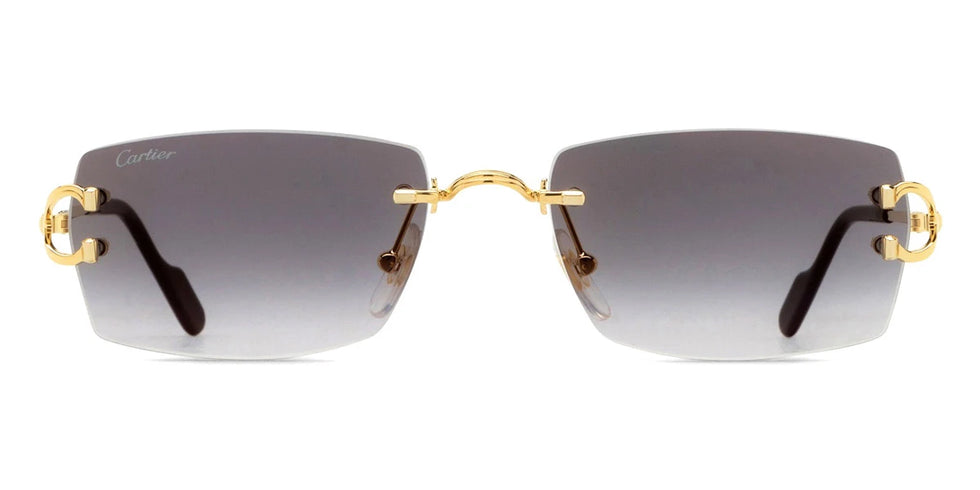 Cartier - CT0550S Signature C de Cartier