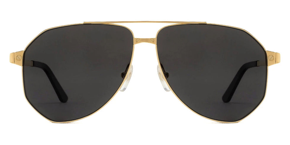 Cartier - CT0461S Santos de Cartier