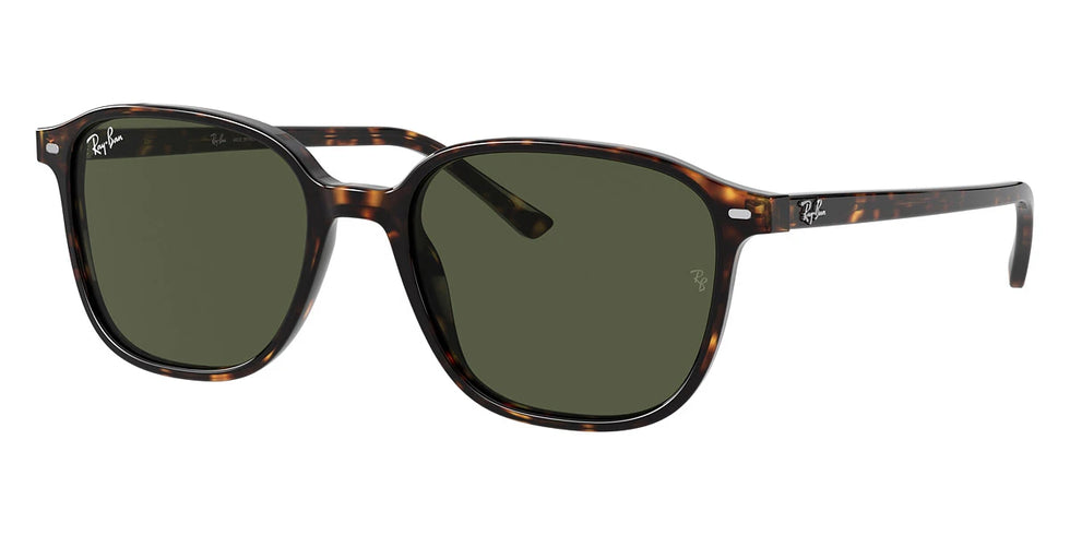 Ray-Ban - Leonard RB2193
