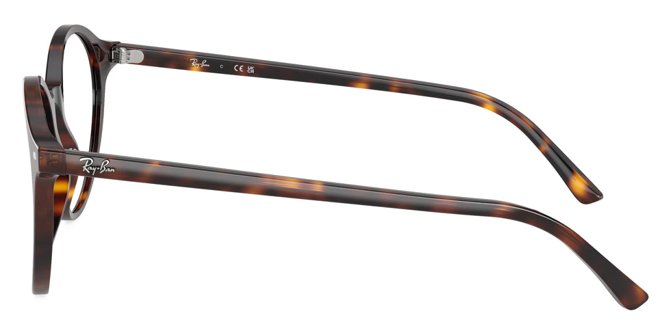 Ray-Ban - RB2230 Bernard