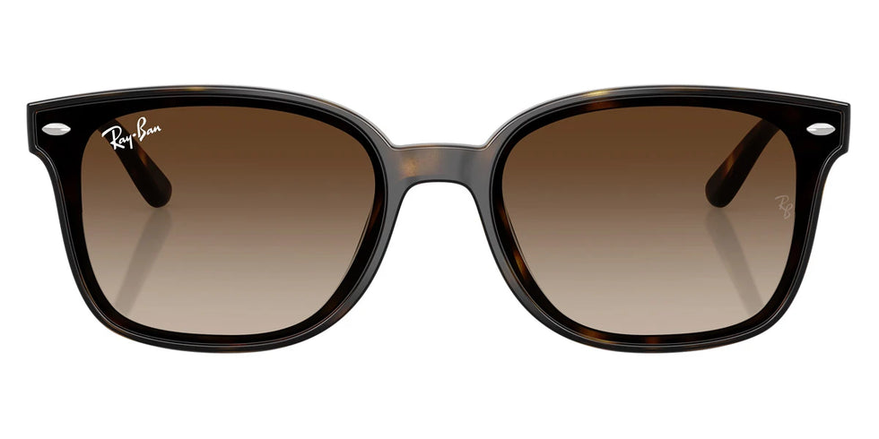 Ray-Ban - RB4461D