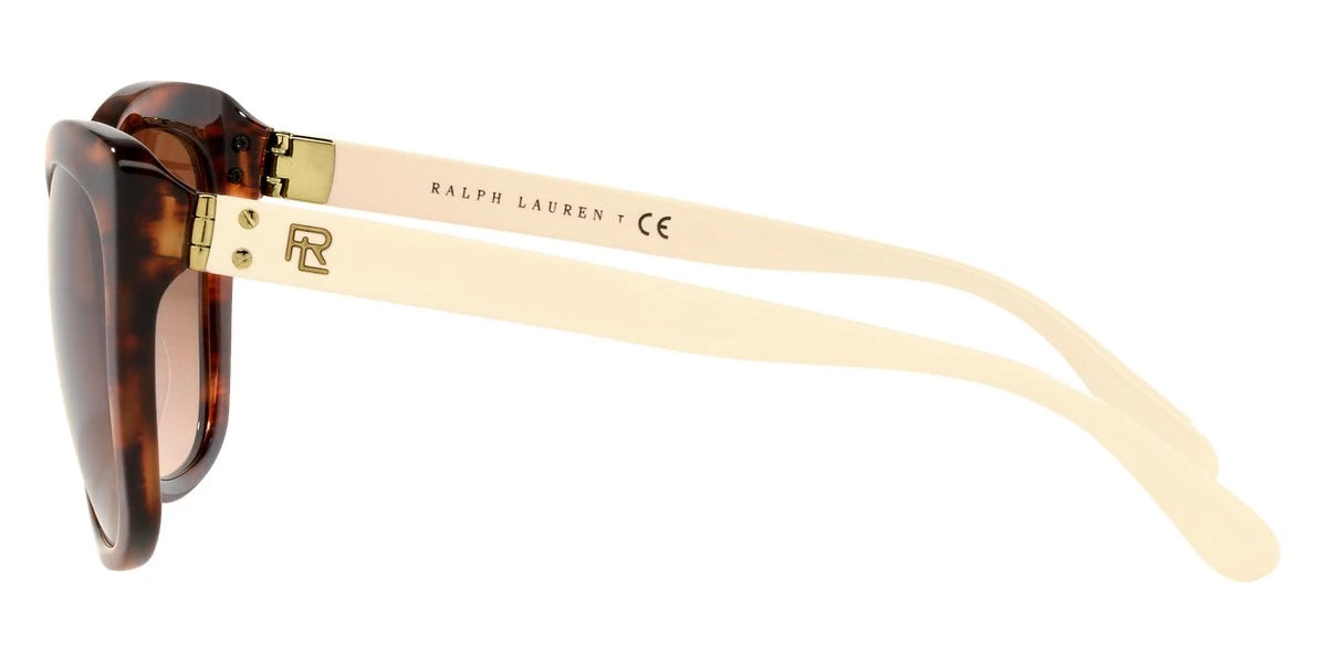 RALPH LAUREN RL8192 500713 56 - Havana / Brown Gradient Dark Brown
