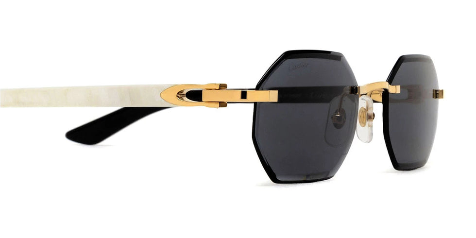 Cartier - CT0439S C Décor