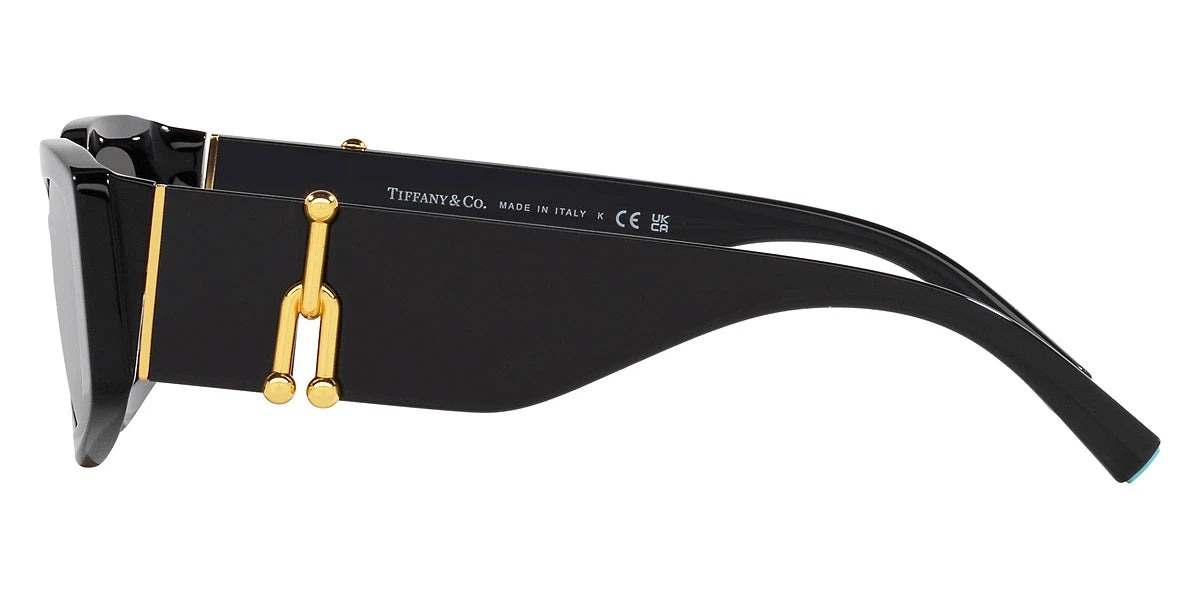 TIFFANY TF4208U 8001S4 54 - Black / Dark Gray