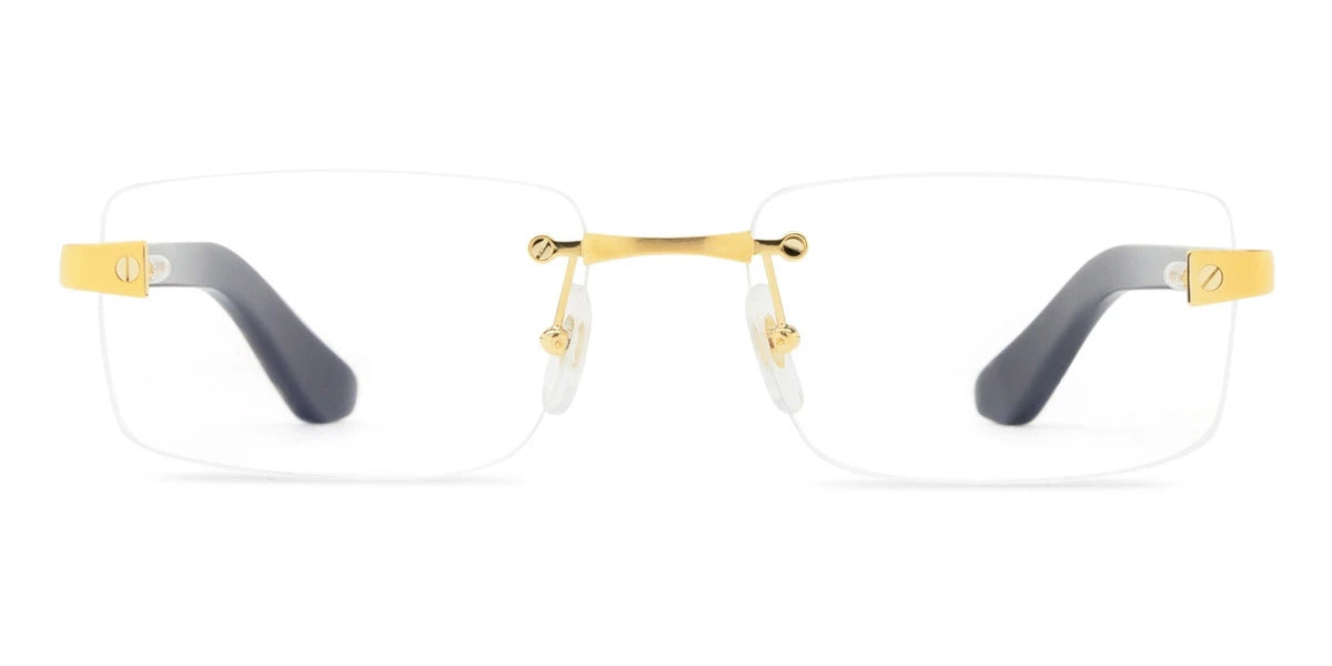 Cartier - CT0513O Santos de Cartier