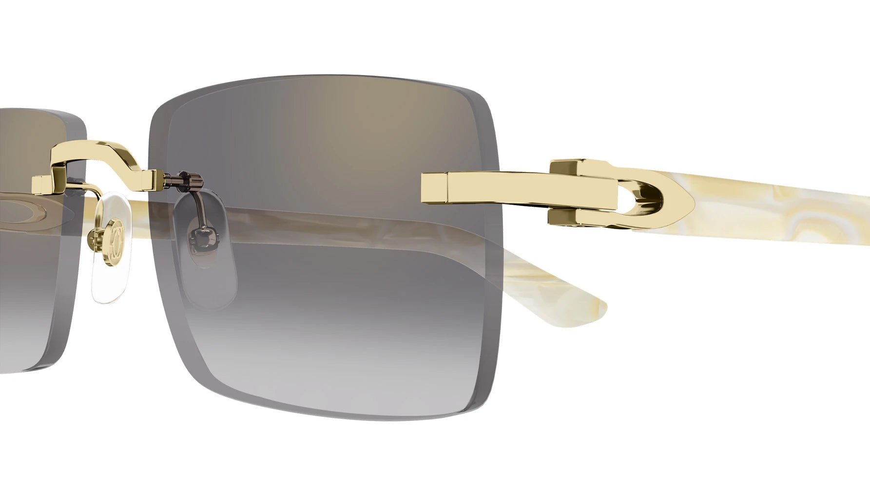 Cartier - CT0579S C Décor