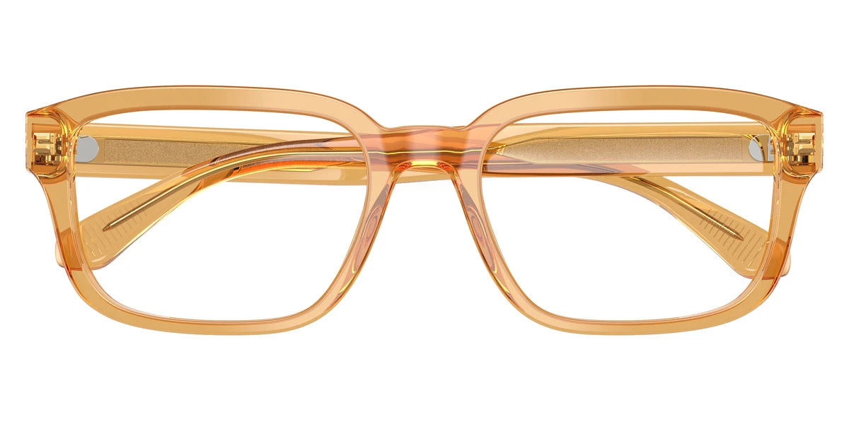 EMPORIO ARMANI - EA3255