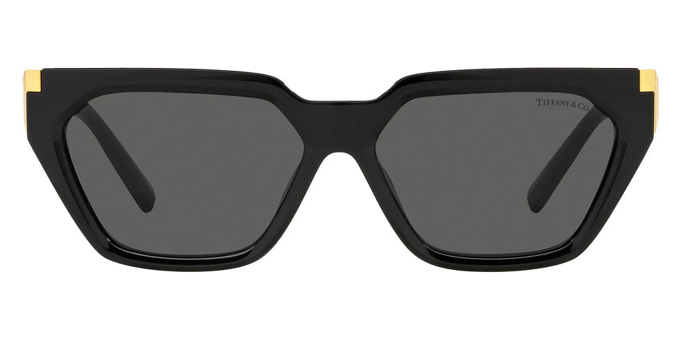 TIFFANY TF4205U 8001S4 56 - Black / Gray Gradient