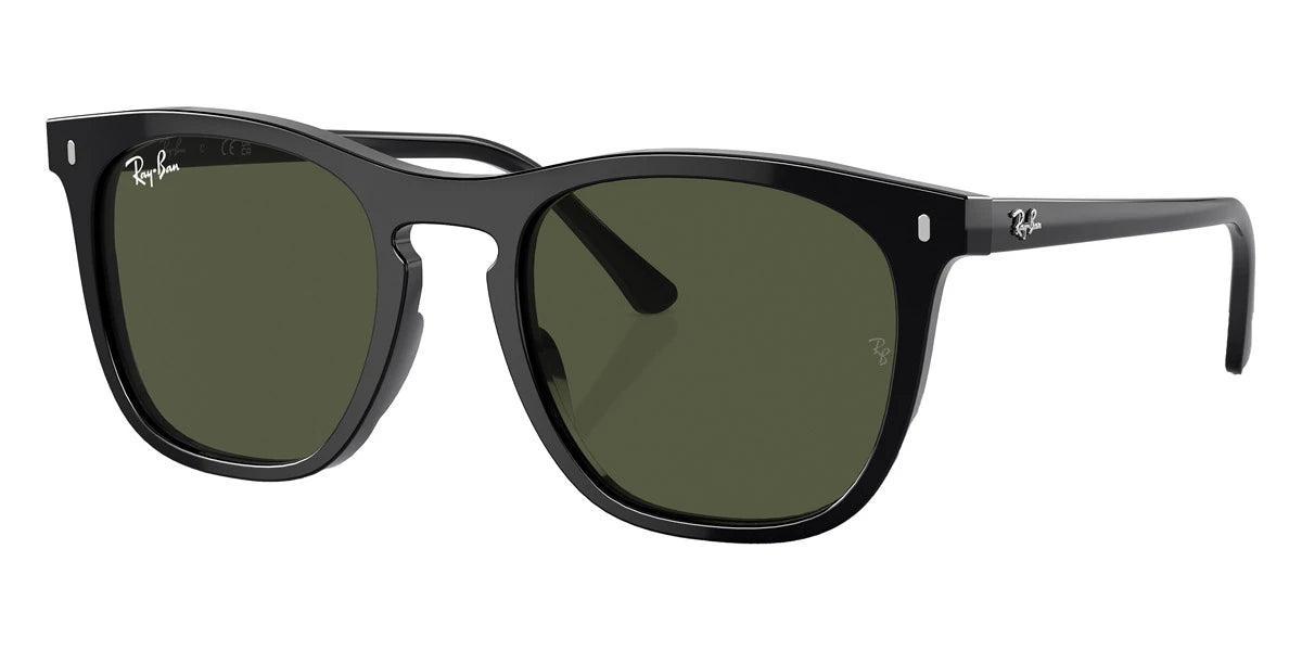 Ray-Ban - RB2210F