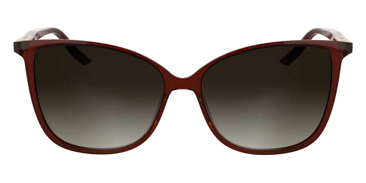 Calvin Klein - CK25504S