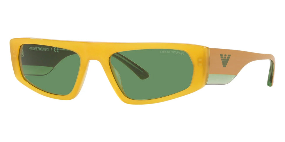 EMPORIO ARMANI - EA4168