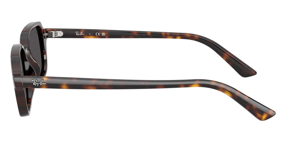 Ray-Ban - RB4455F Zuri