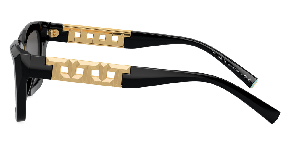 TIFFANY TF4213 8001S4 54 - Black / Dark Gray