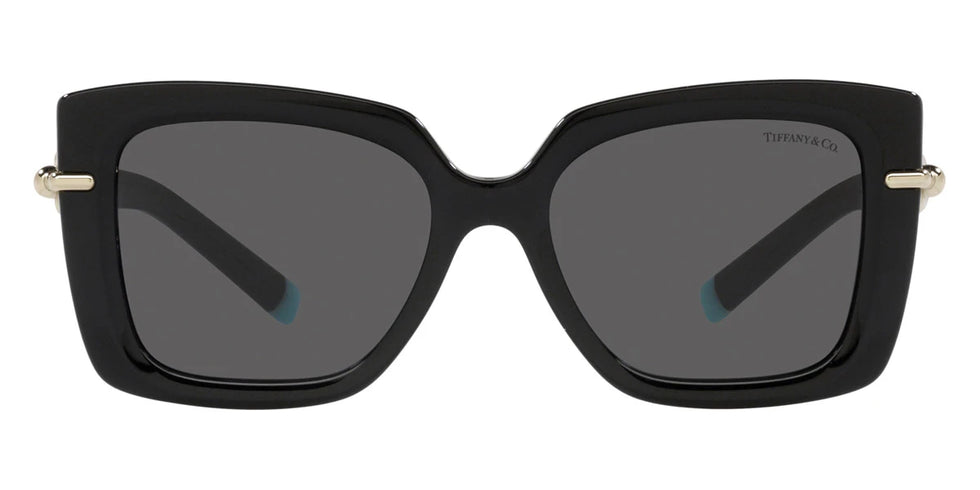 TIFFANY TF4199F 8001S4 53 - Black / Dark Gray