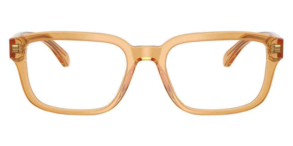 EMPORIO ARMANI - EA3255