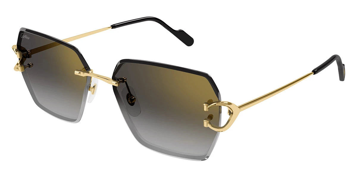 Cartier - CT0466S Signature C de Cartier