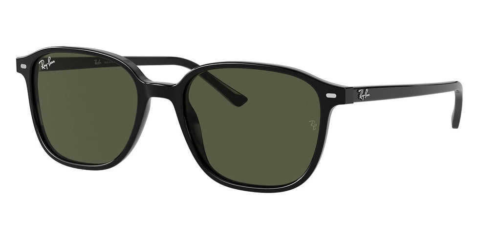 Ray-Ban - Leonard RB2193