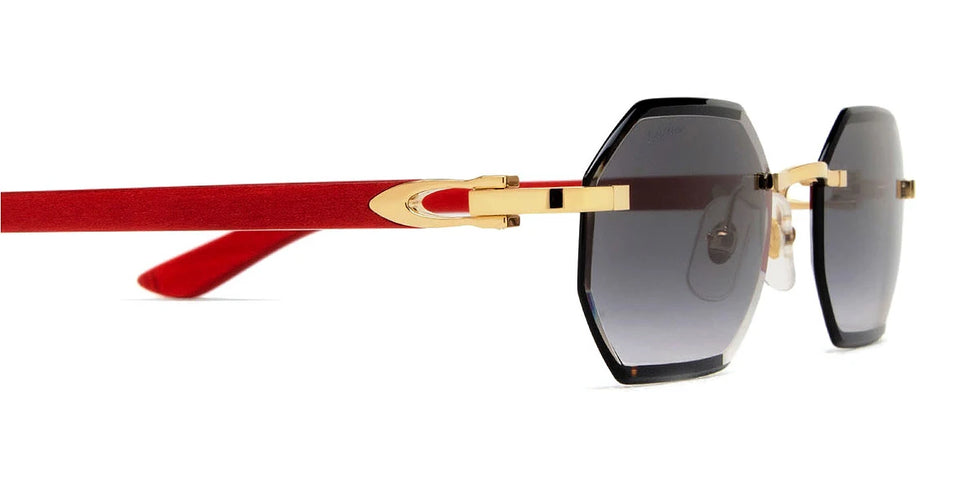 Cartier - CT0439S C Décor