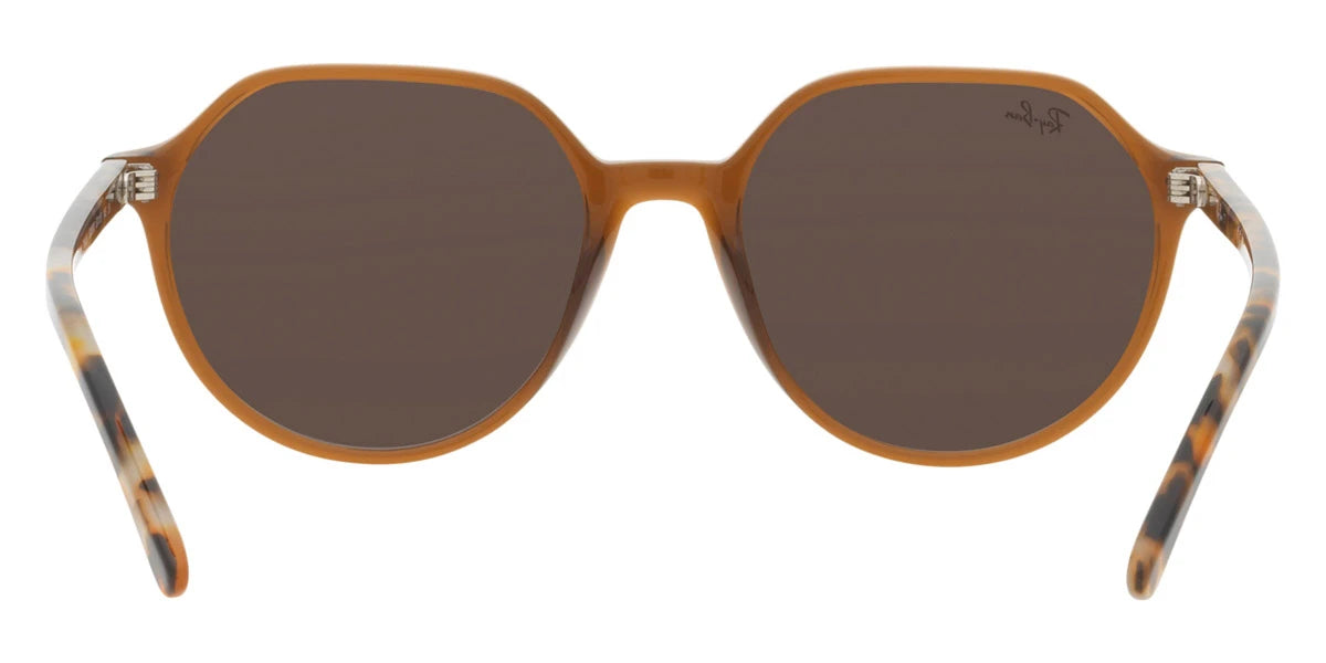 Ray-Ban - Thalia RB2195