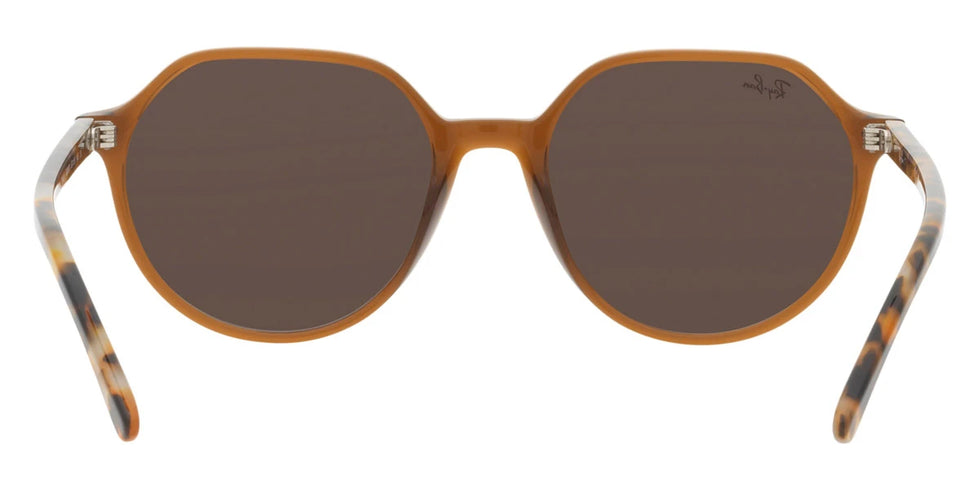 Ray-Ban - Thalia RB2195