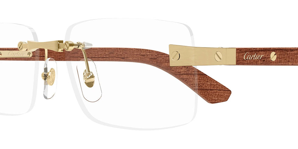 Cartier - CT0513O Santos de Cartier