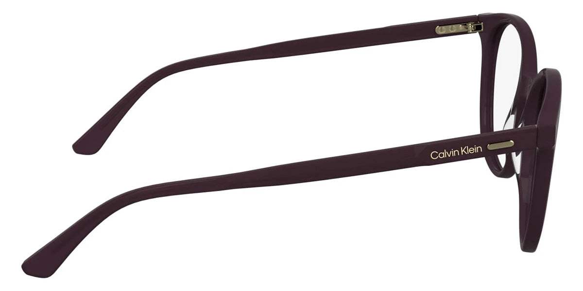 Calvin Klein - CK24543