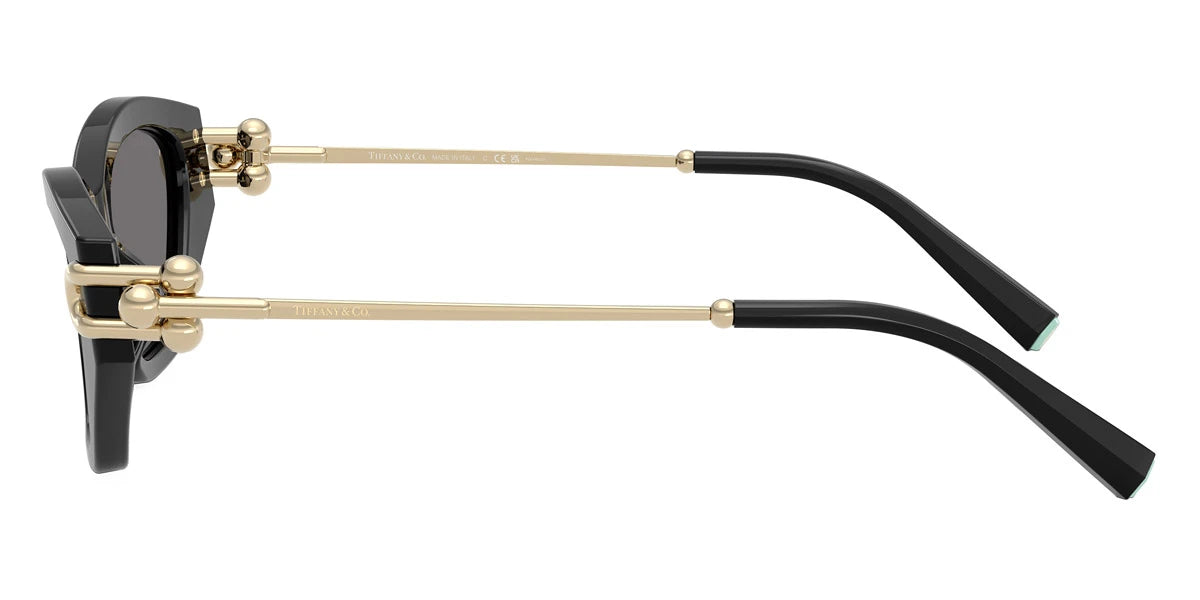TIFFANY TF4231U 800181 53 - Black/Pale Gold / Dark Gray Polarized