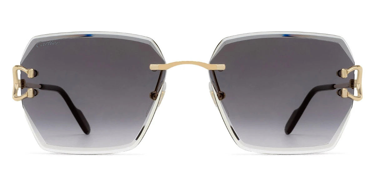 Cartier - CT0466S Signature C de Cartier