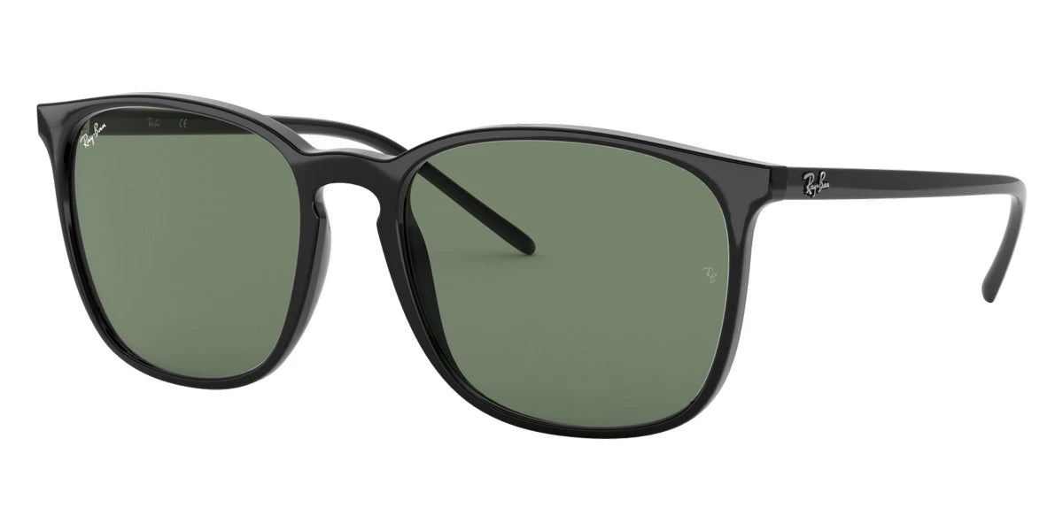 Ray-Ban - RB4387F