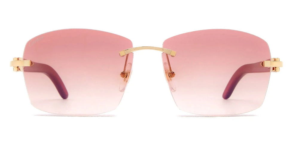 Cartier - CT0039RS C Décor