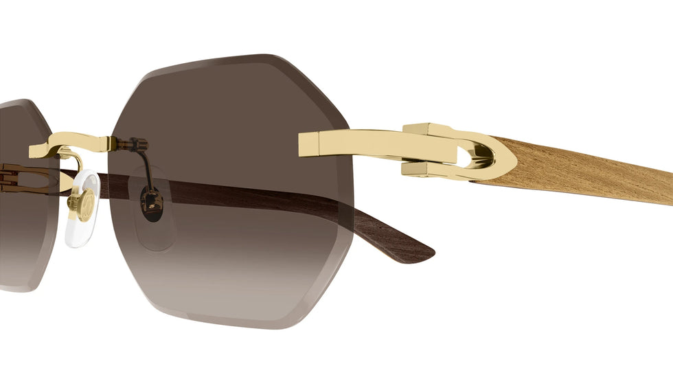 Cartier - CT0439S C Décor