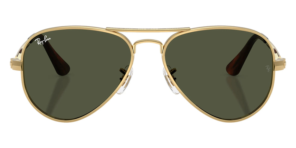 Ray-Ban - RB3925 Aviator Max
