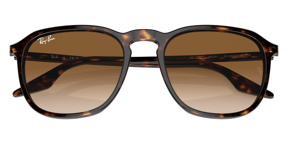 Ray-Ban - RB2203