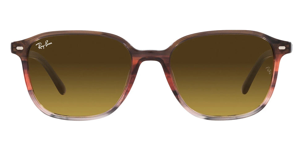 Ray-Ban - Leonard RB2193